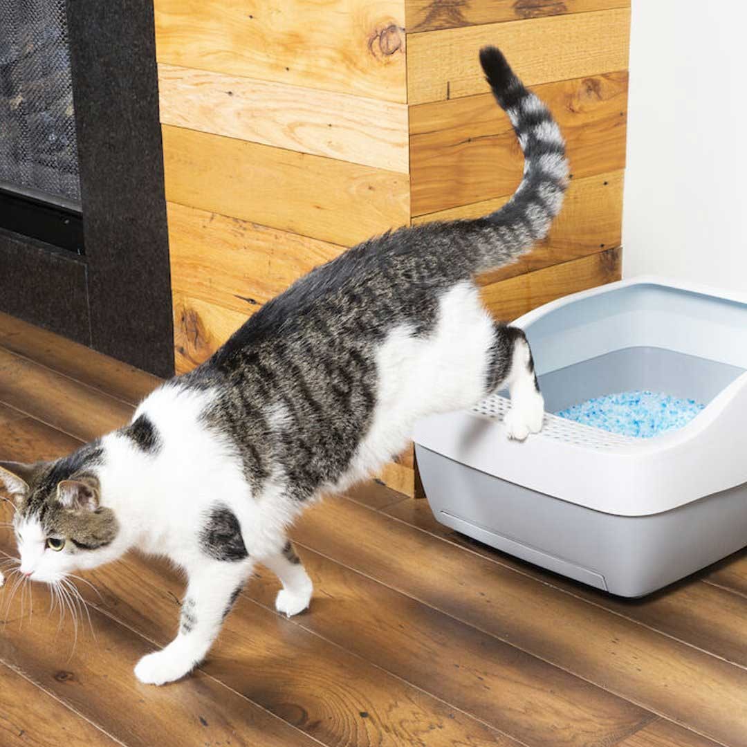 Bac à litière Crystal Deluxe