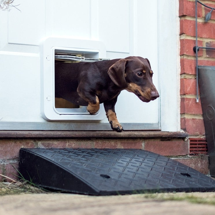 Chatière électronique Connect SureFlap