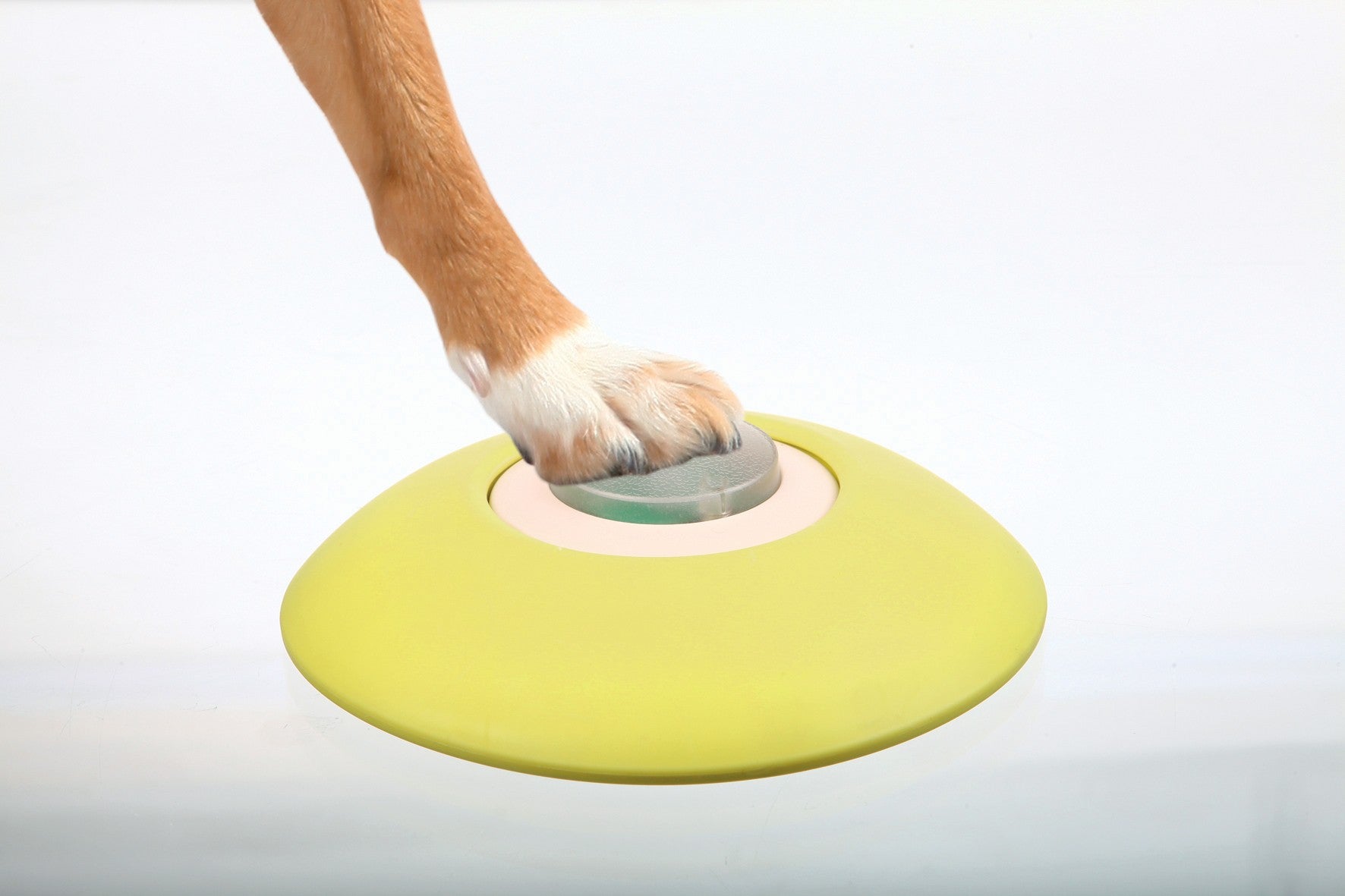 Distributeur Memory Trainer 3.0