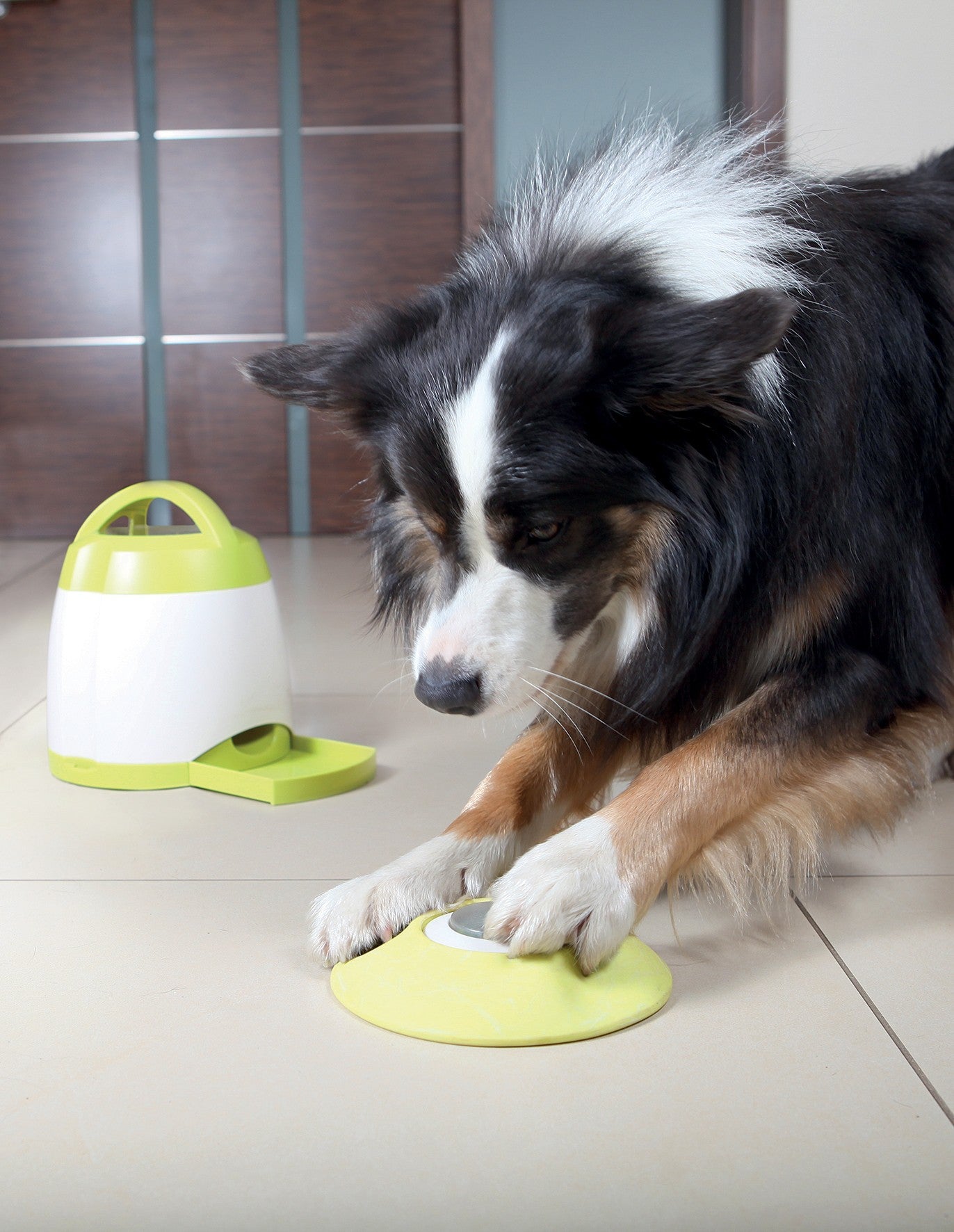 Distributeur Memory Trainer 3.0