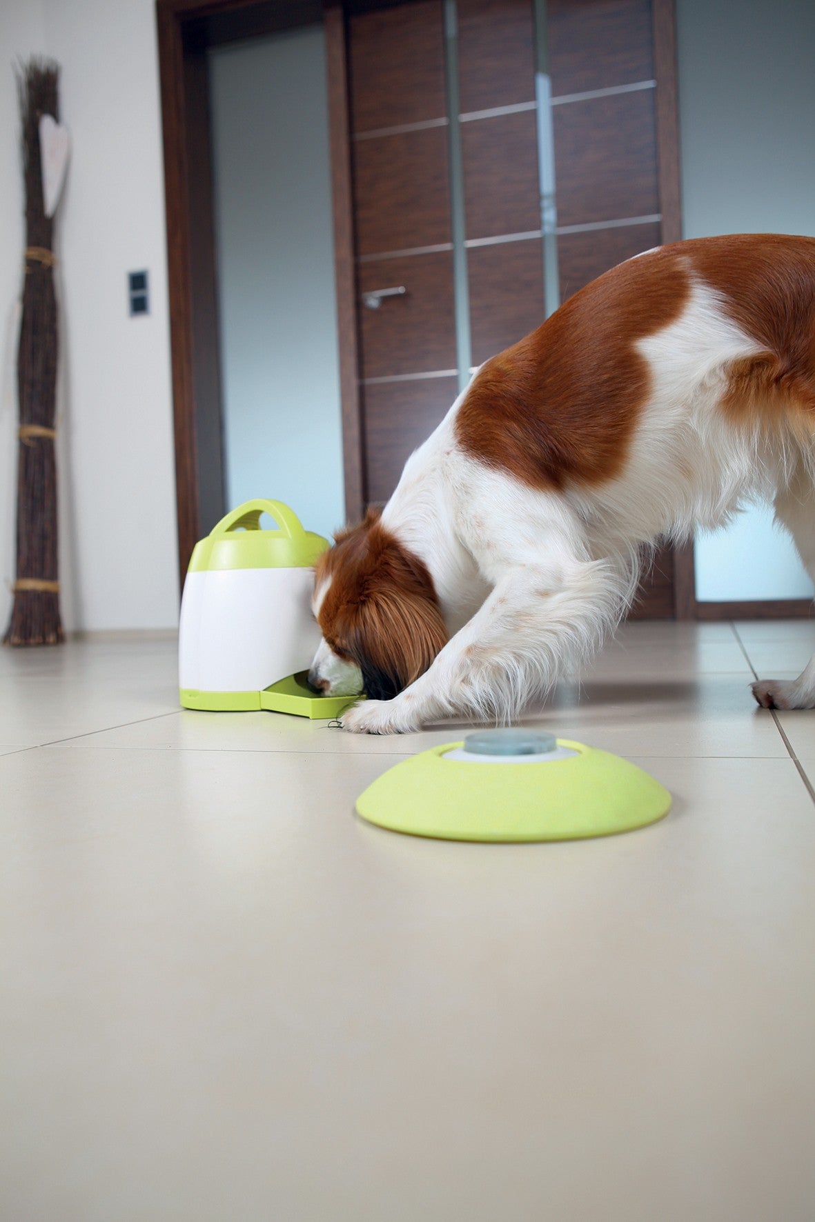 Distributeur Memory Trainer 3.0