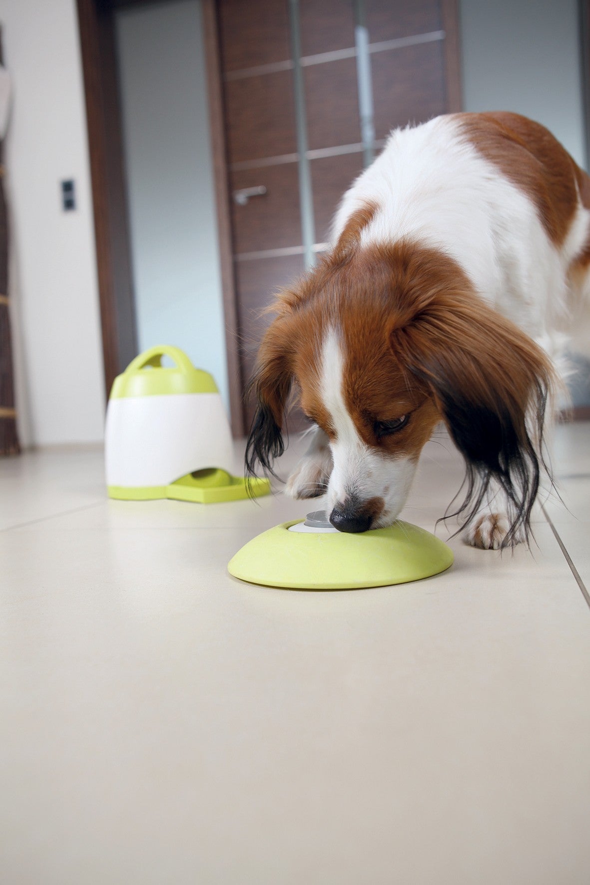 Distributeur Memory Trainer 3.0