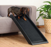 Rampe pour chien Friends On Tour