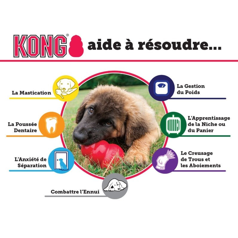 Jouet Classic KONG - Jouet à mâcher pour chien