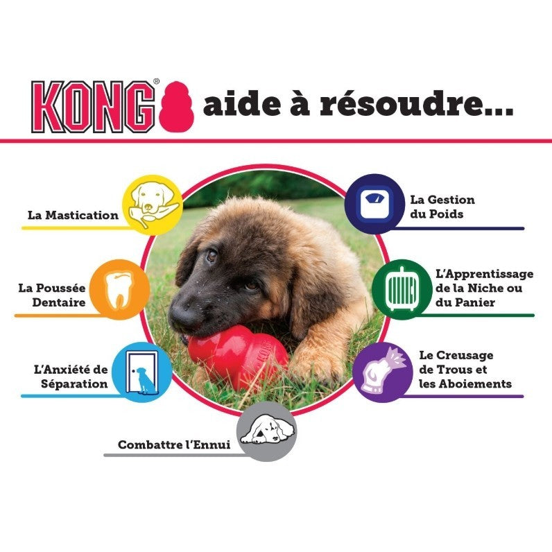 Jouet pour chiot  KONG