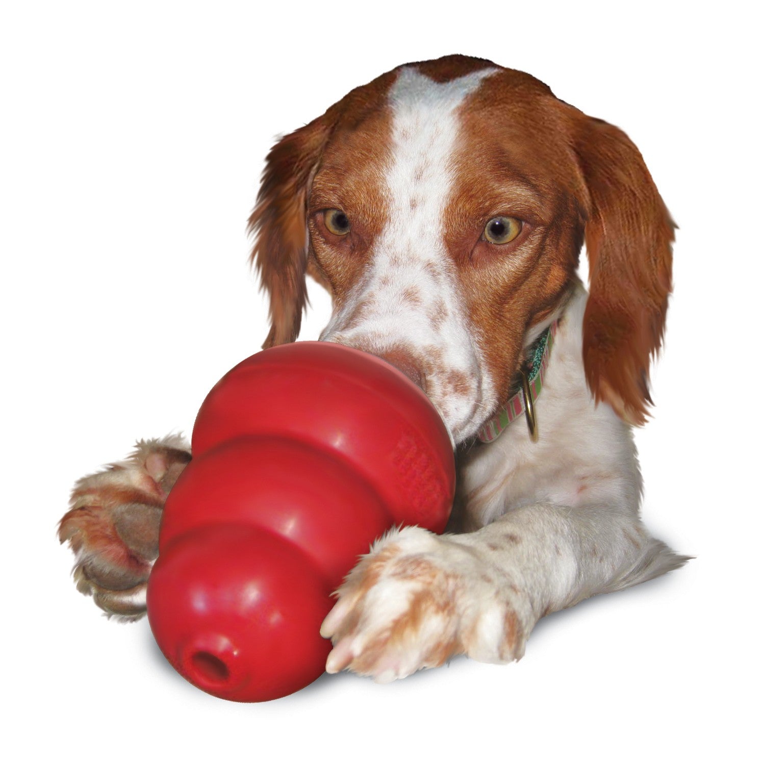 Pâte appétente Stuff'n KONG