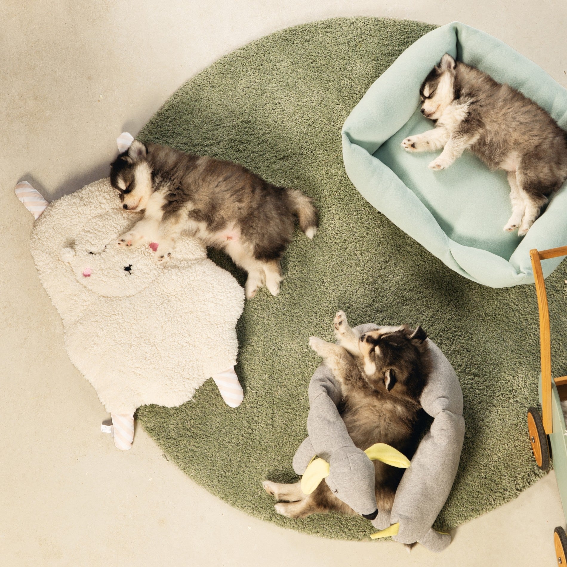 Doudou Cosy pour chiot