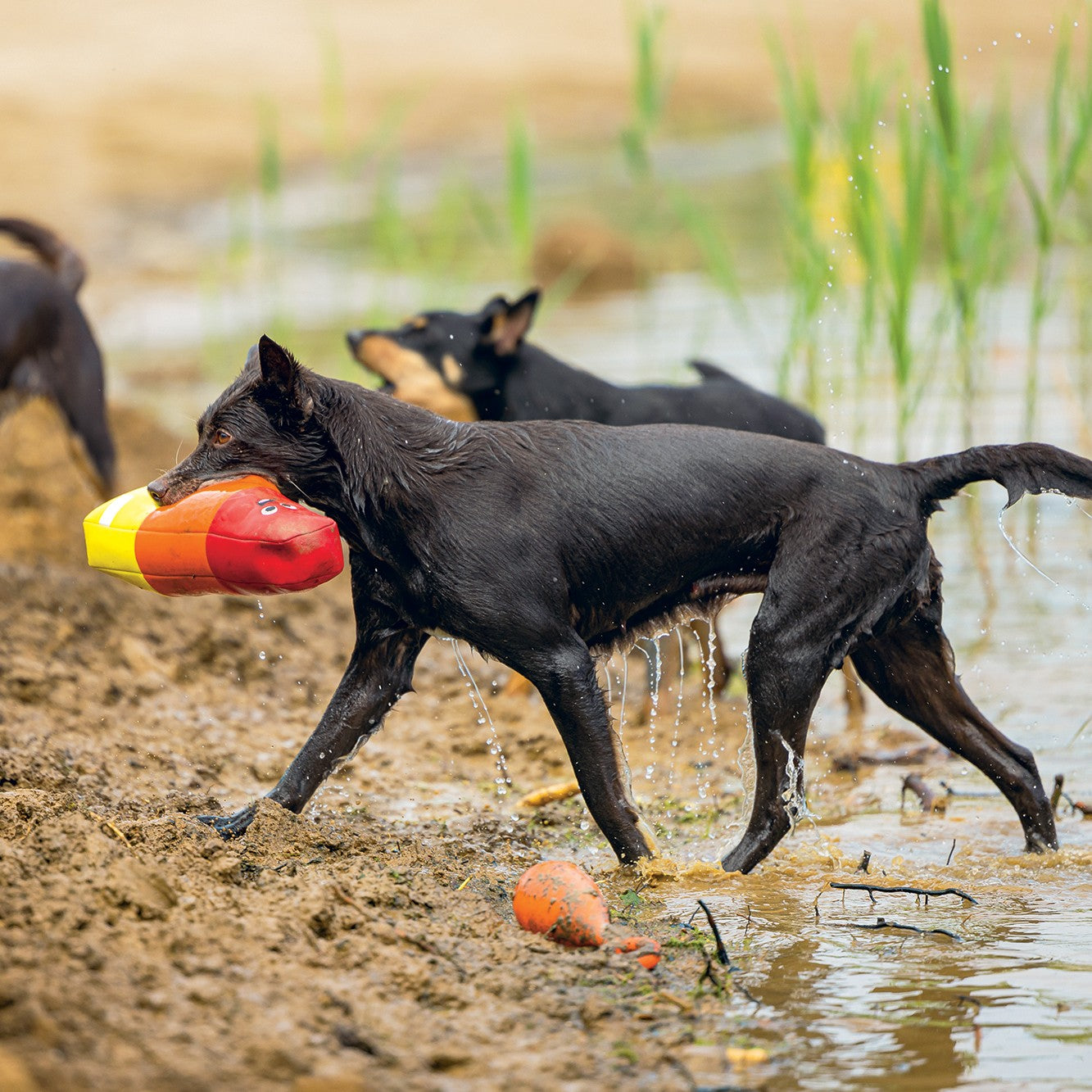 Jouet flottant Esquimau