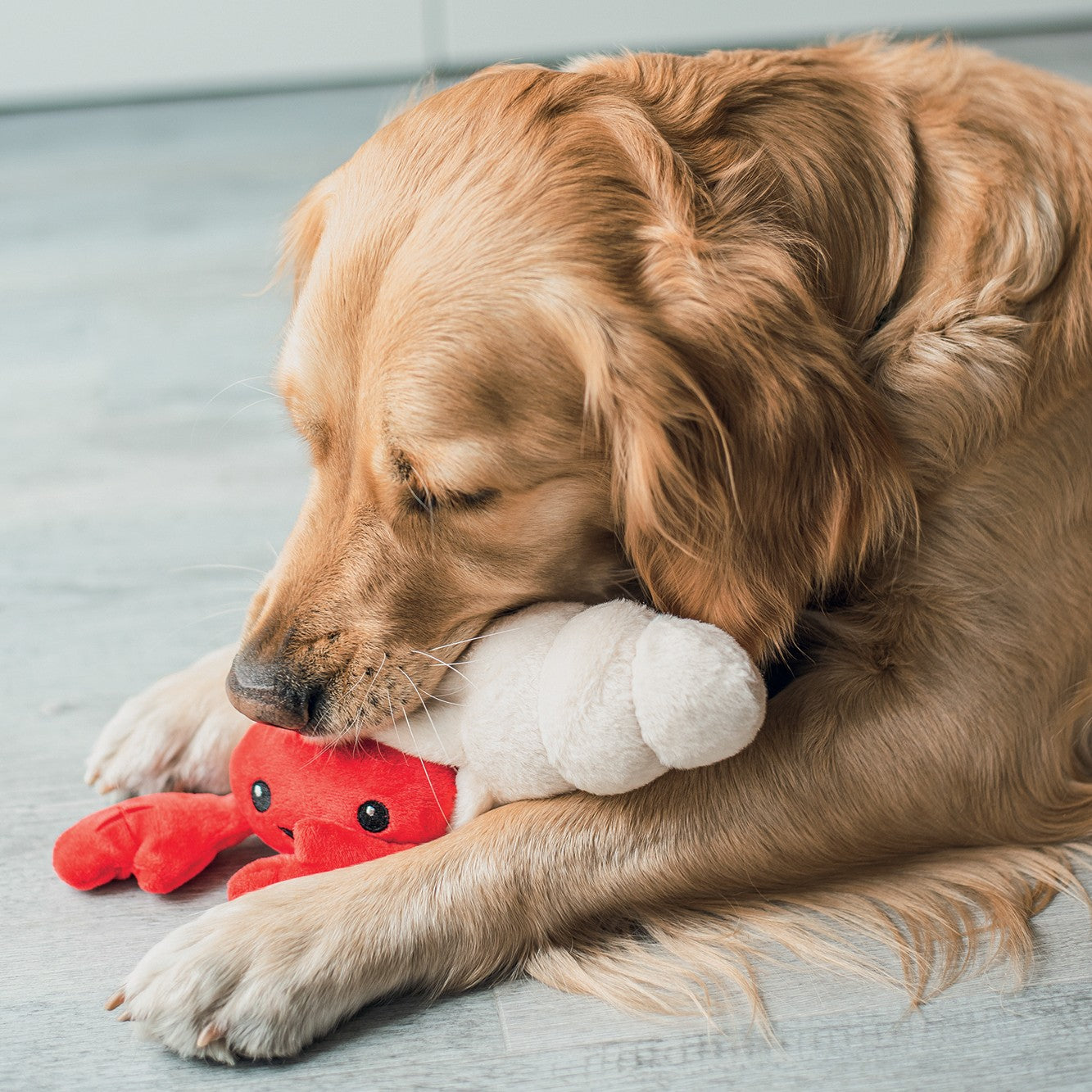 Peluche Bernard l'Hermite