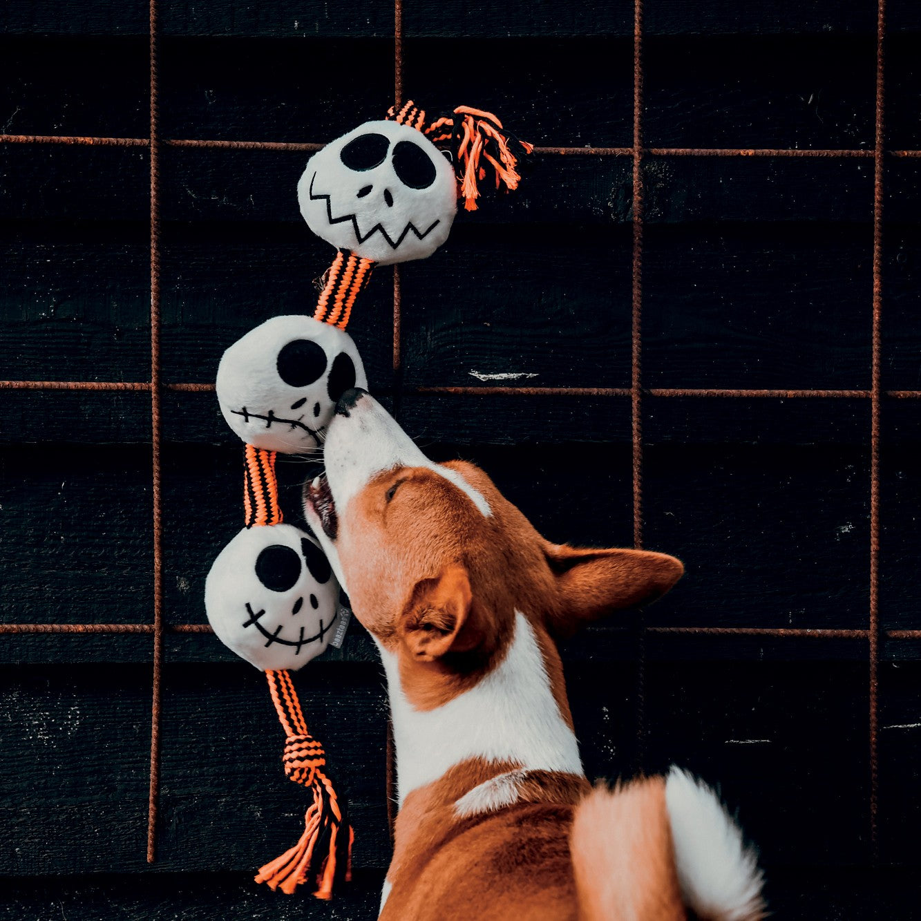 Corde avec balles fantômes