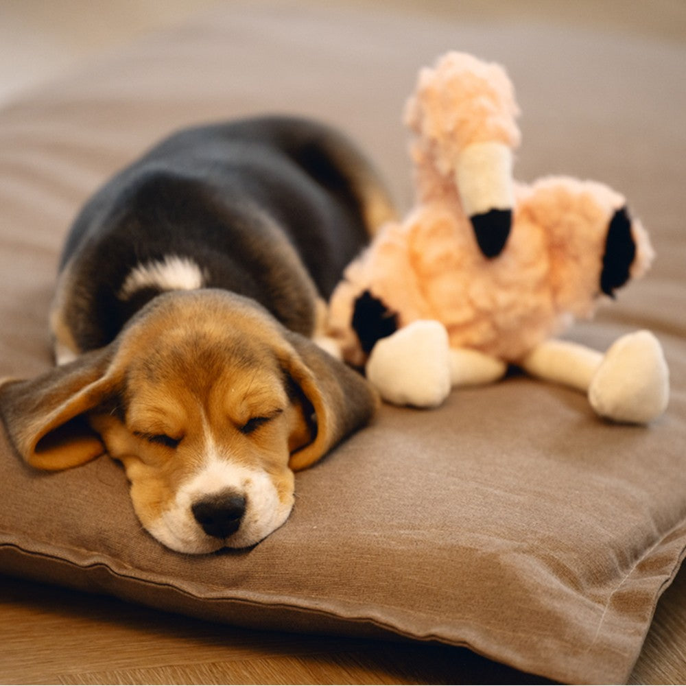 Peluche flamant rose Mick
