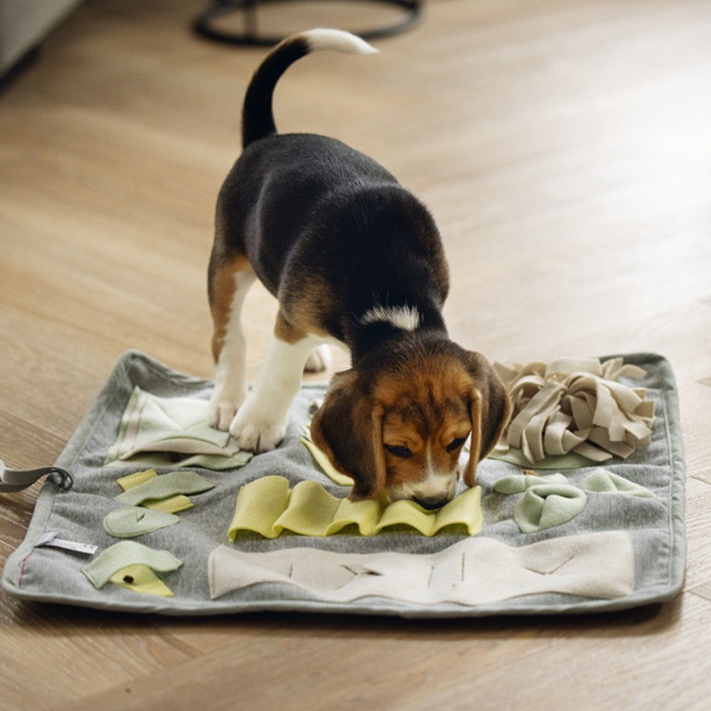 Tapis à renifler Doeka