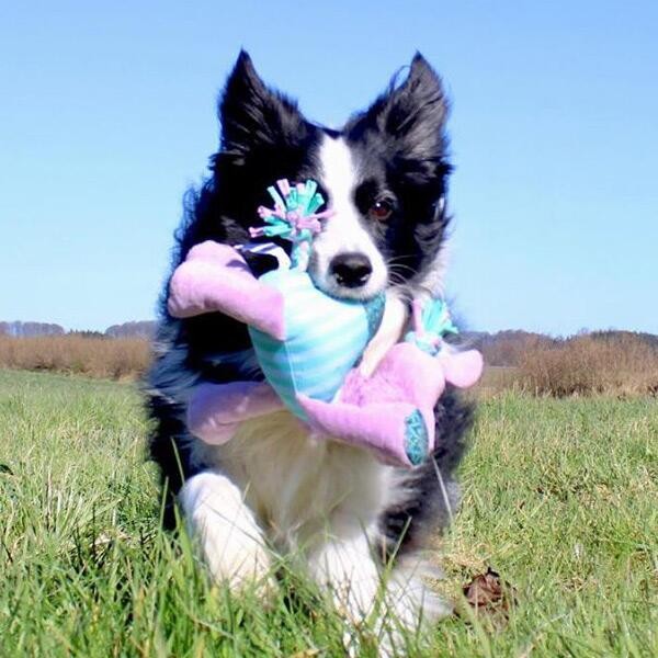 Peluche Knots Carnival Camel