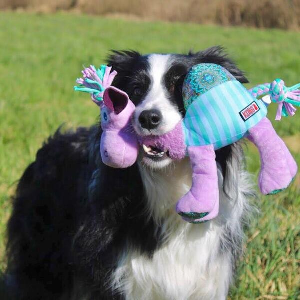 Peluche Knots Carnival Camel