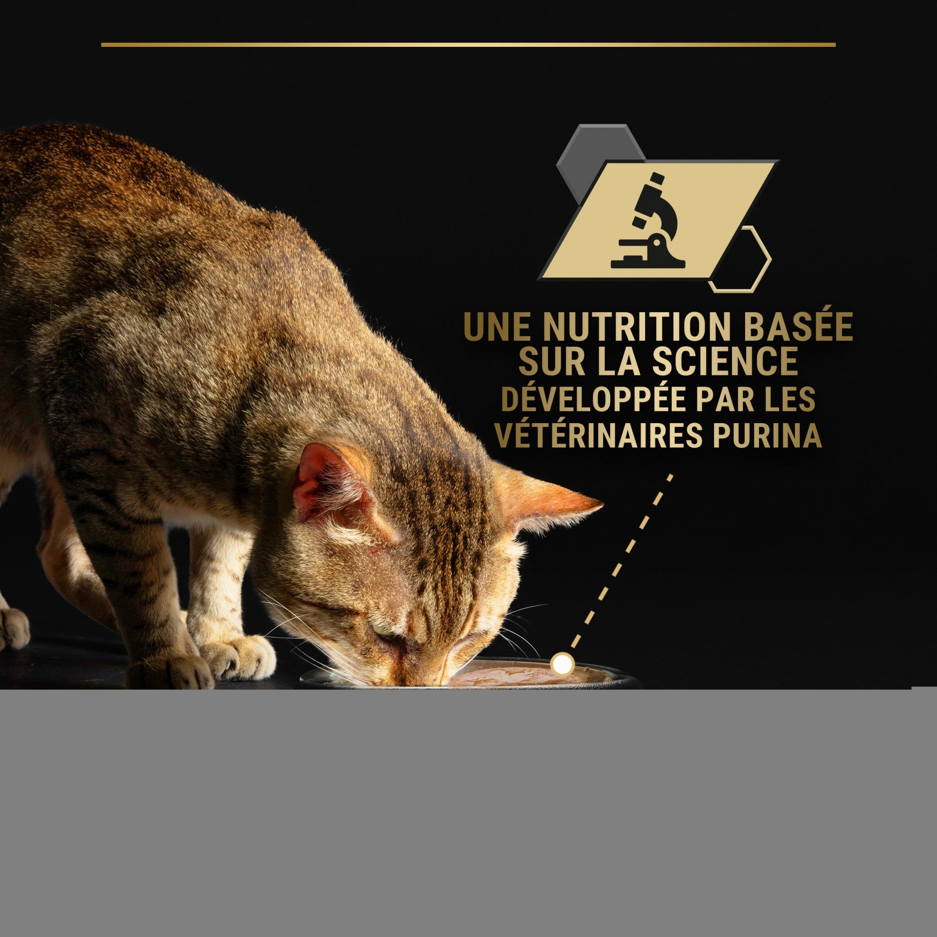 PRO PLAN Longevis Senior en mousse au thon - Pâtée pour chat