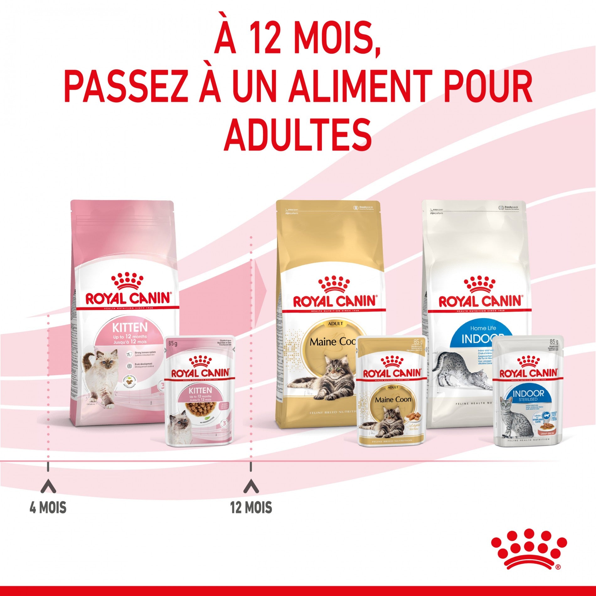 Royal Canin Kitten - Sauce pour chaton