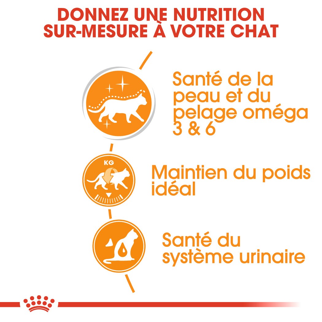 Royal Canin Intense Beauty