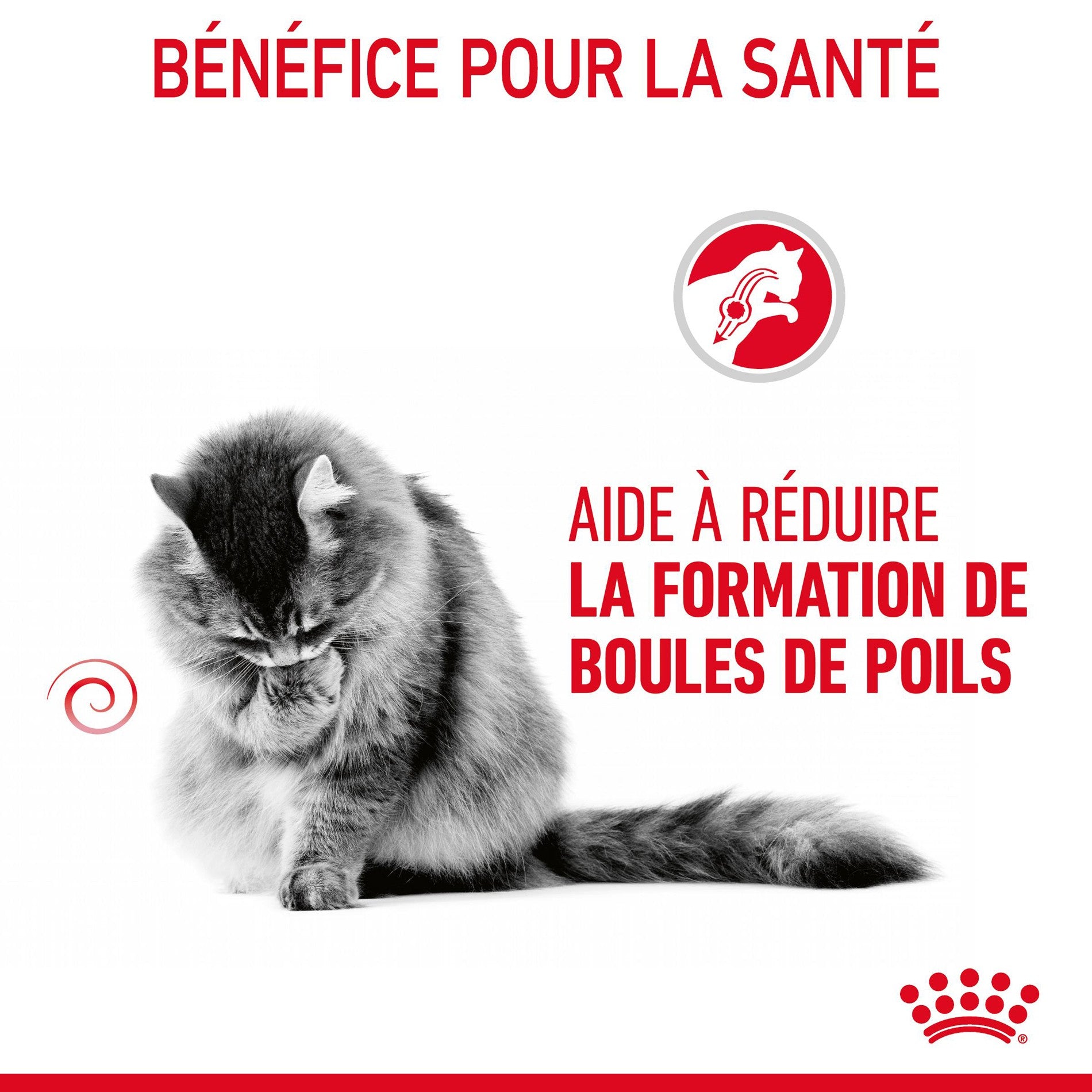 ROYAL CANIN Hairball Care en Gelée – Pâtée pour chat