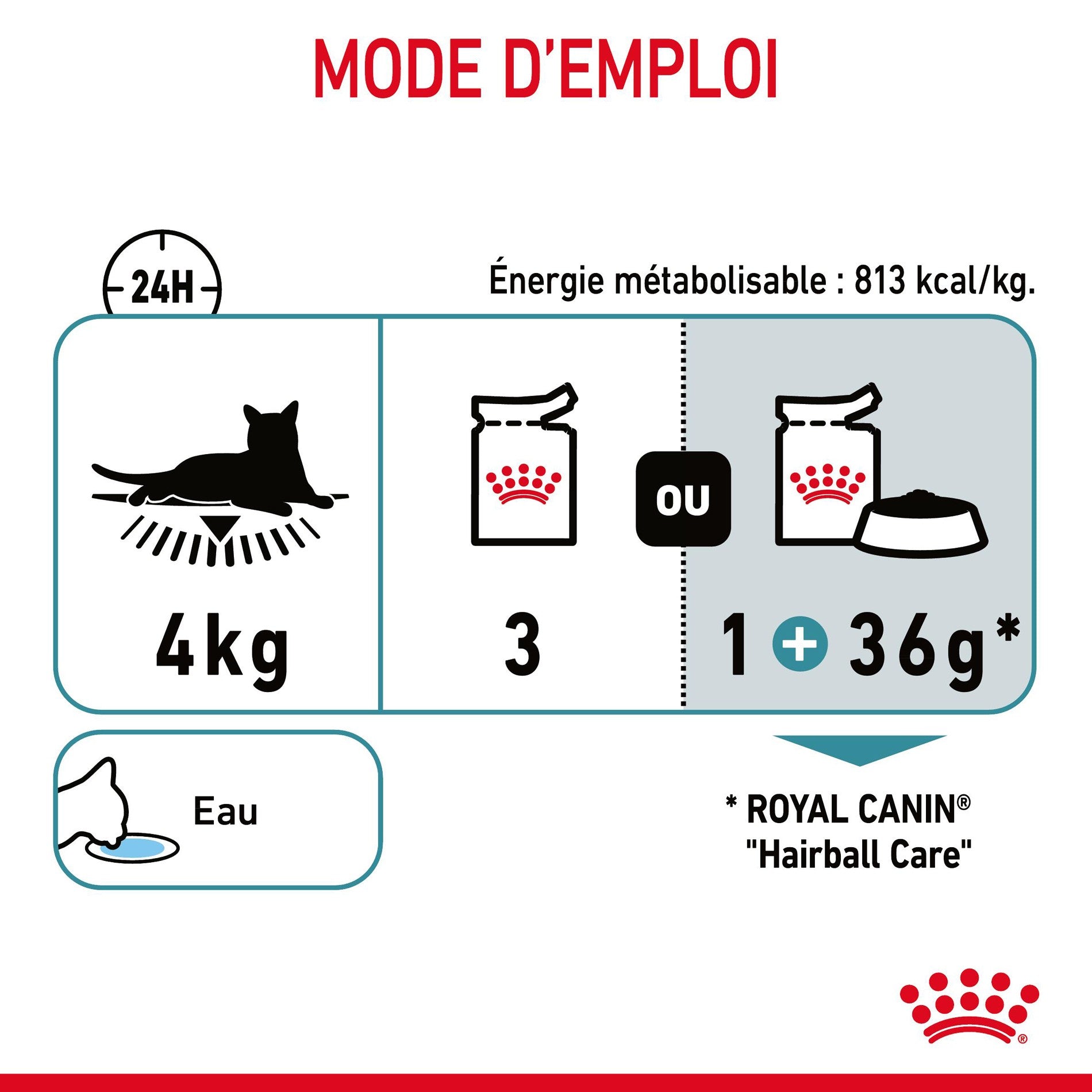 ROYAL CANIN Hairball Care en Gelée – Pâtée pour chat