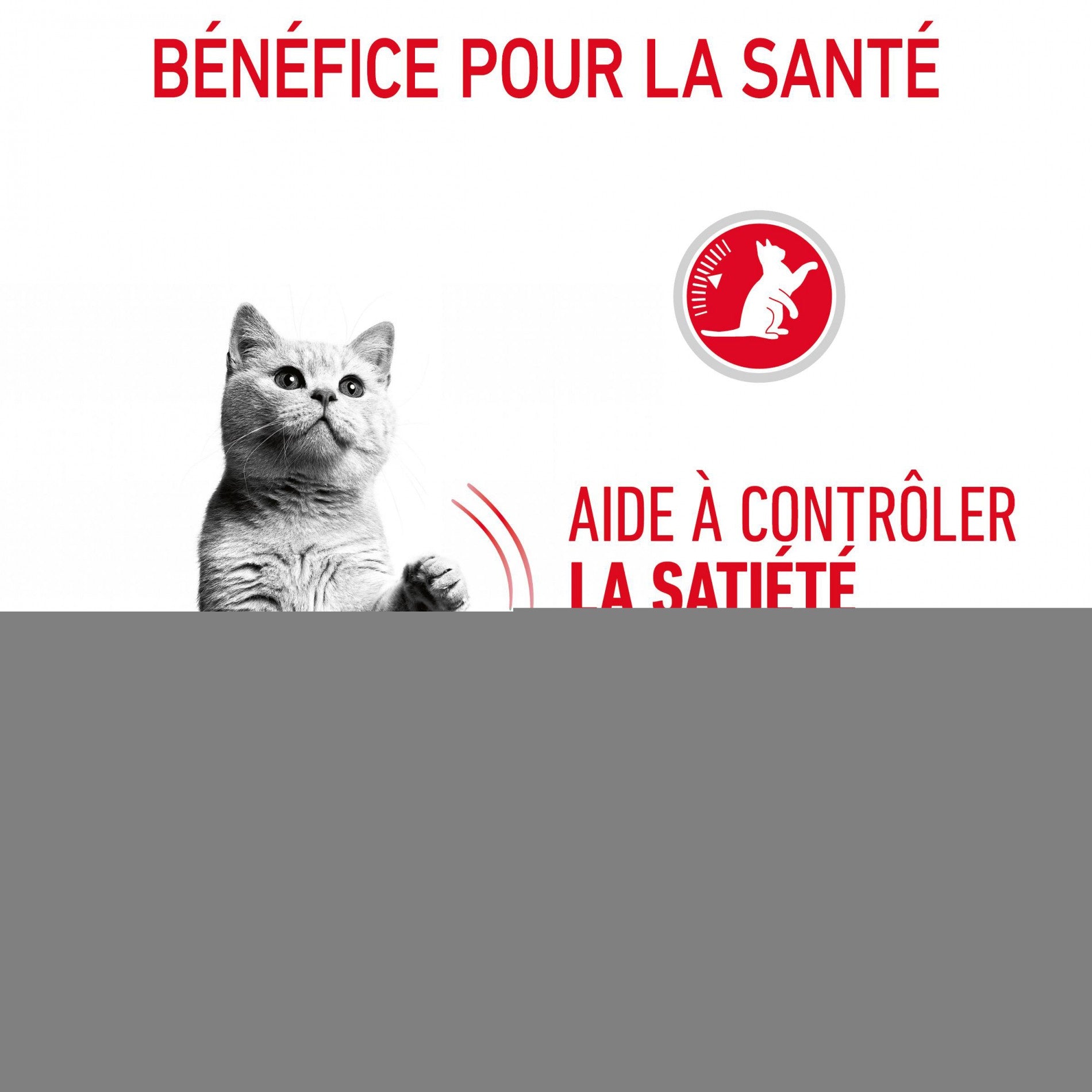 ROYAL CANIN Appetite Control en Gelée – Pâtée pour chat