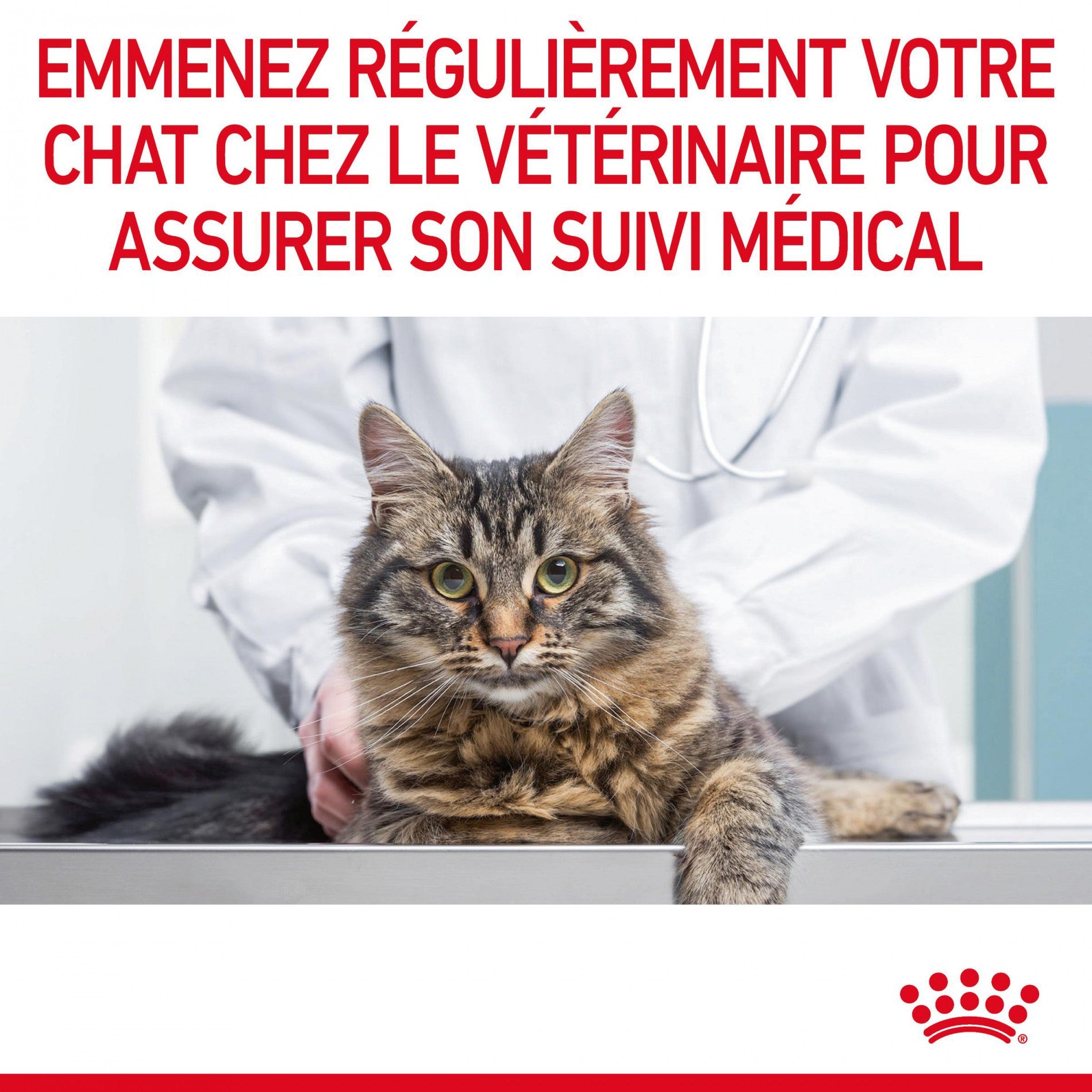 ROYAL CANIN Appetite Control Care en Mousse – Pâtée pour chat