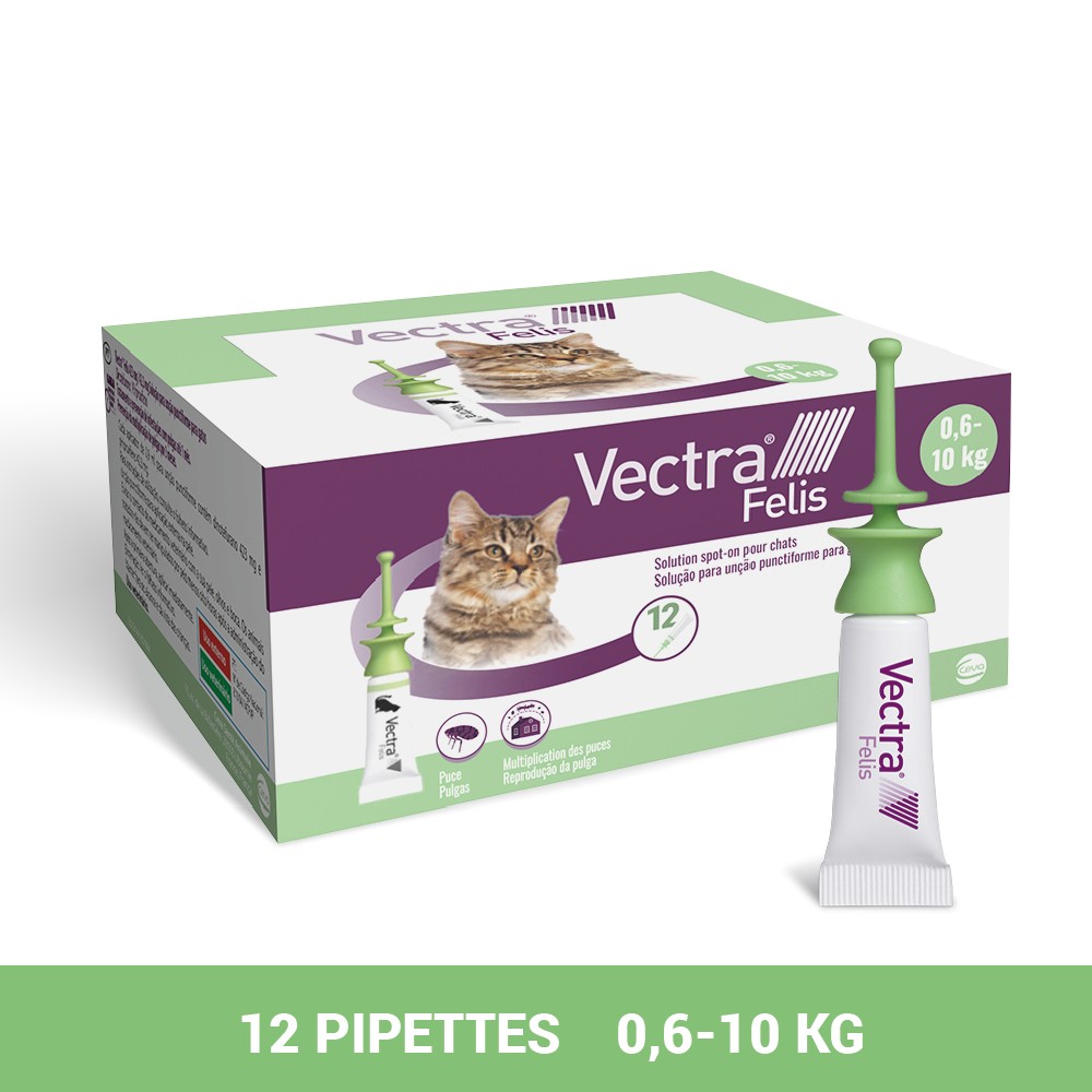 Pipettes anti-puces Vectra Felis Chat