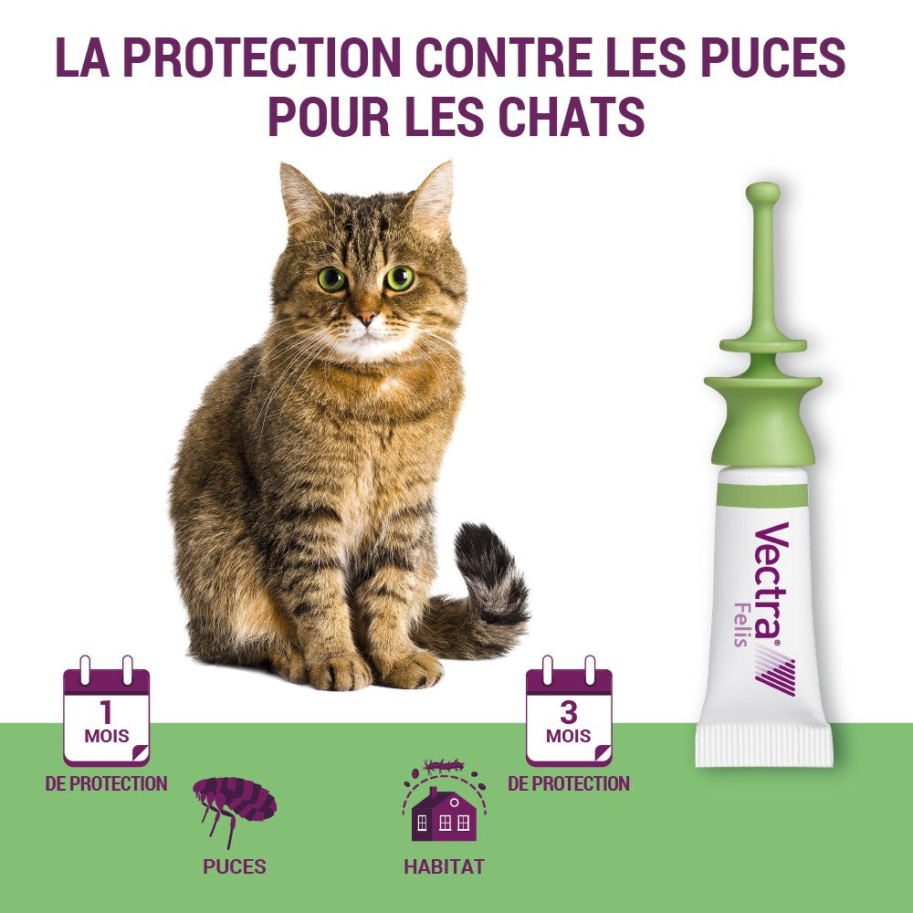 Pipettes anti-puces Vectra Felis Chat