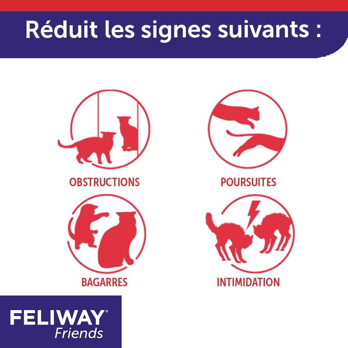 Feliway Friends diffuseur et recharges