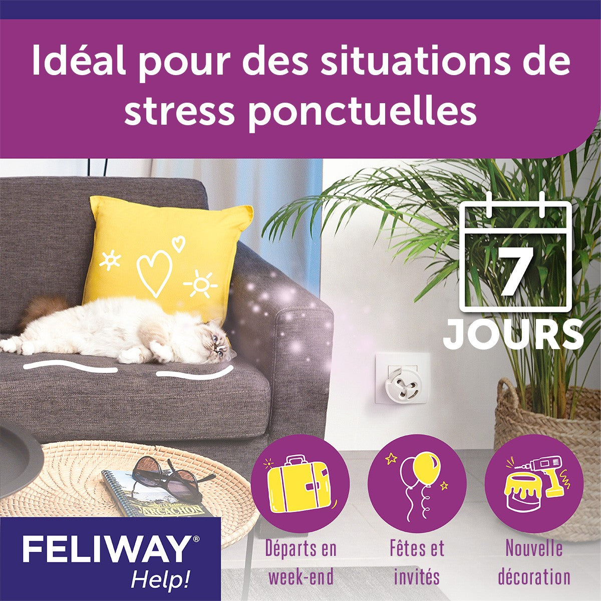 Feliway® Help!