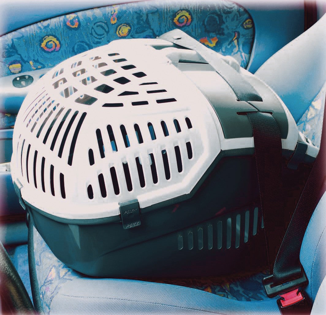 Caisse de transport Avior