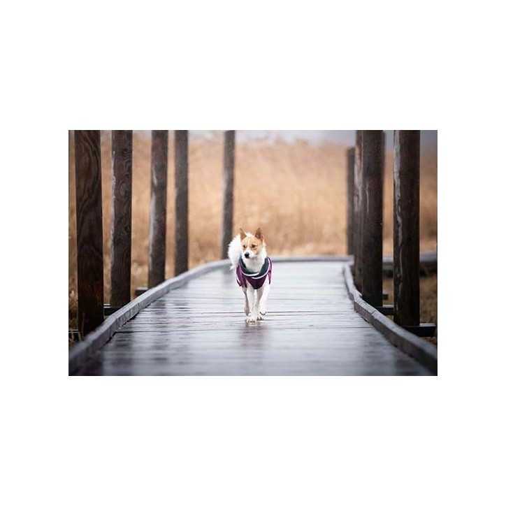 Pomppa Kevyt Manteau imperméable