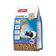 Care + Souris et Gerbille