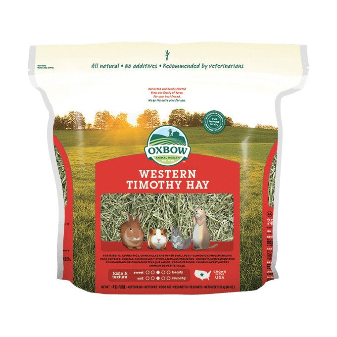 Foin Western Timothy