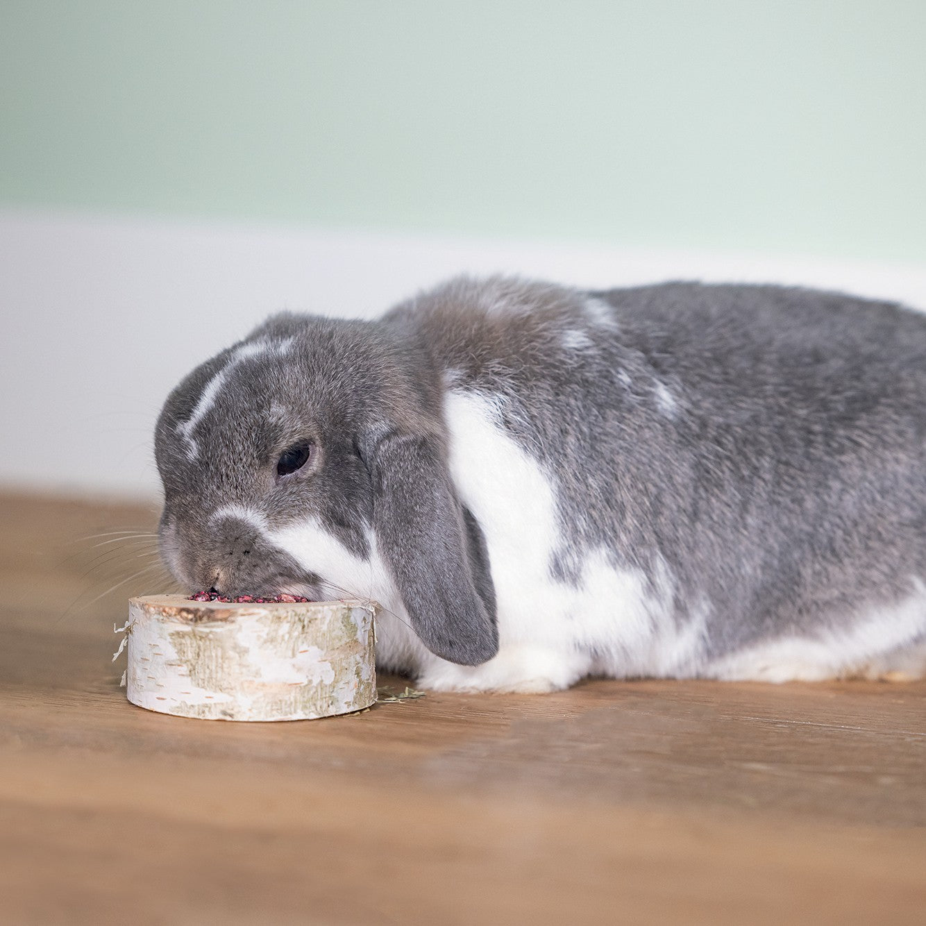 Rondin de bouleau aux légumes