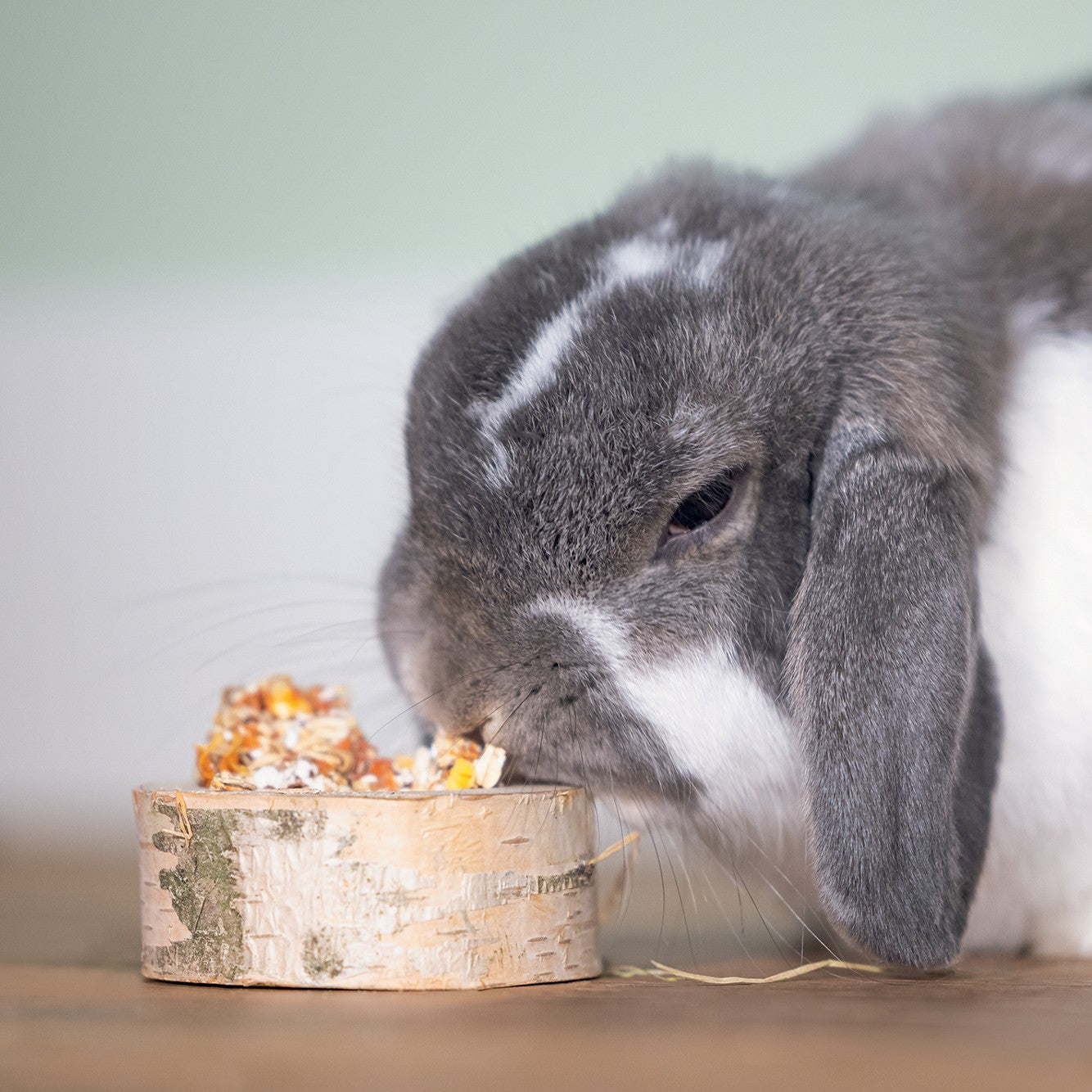 Rondin de bouleau aux légumes