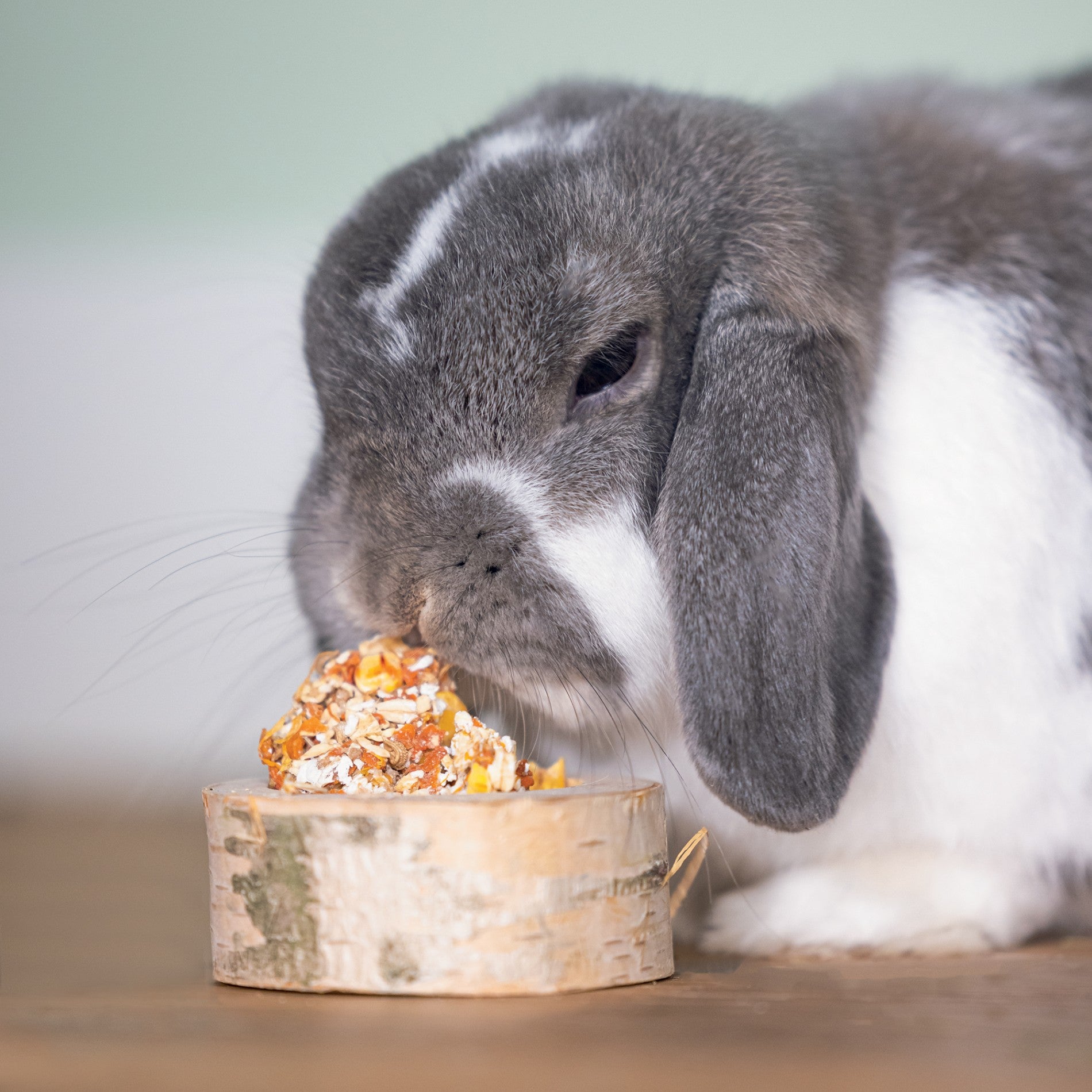 Rondin de bouleau aux légumes