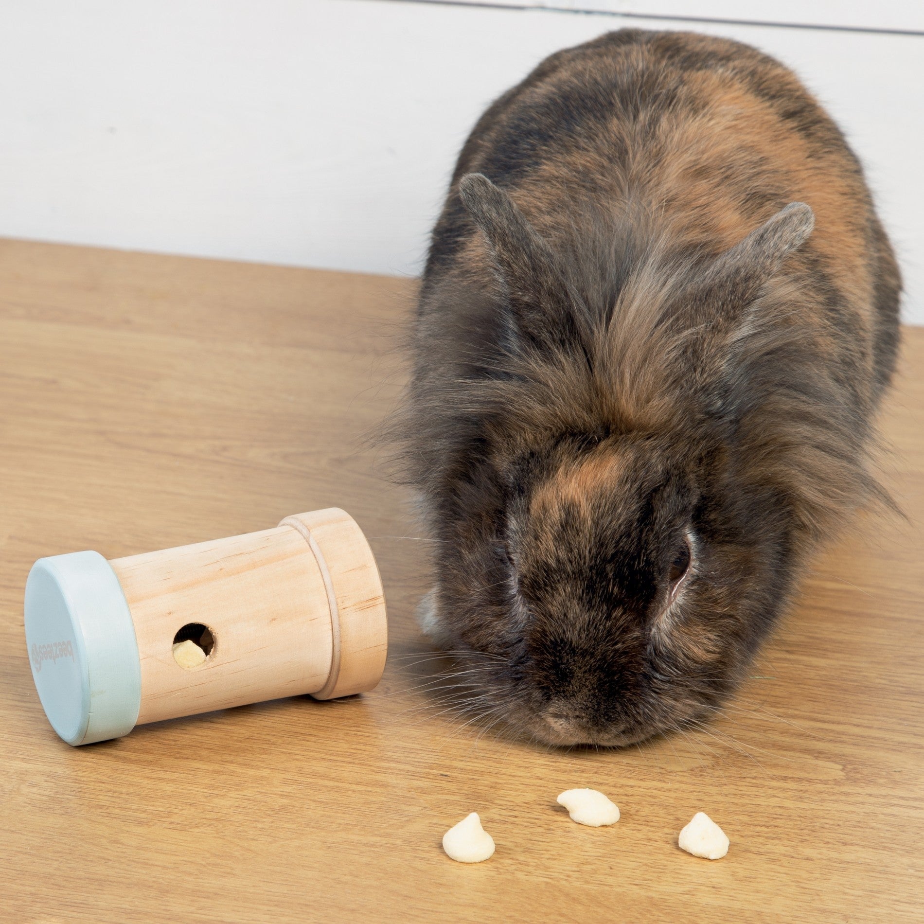 Jouet distributeur Yumzy