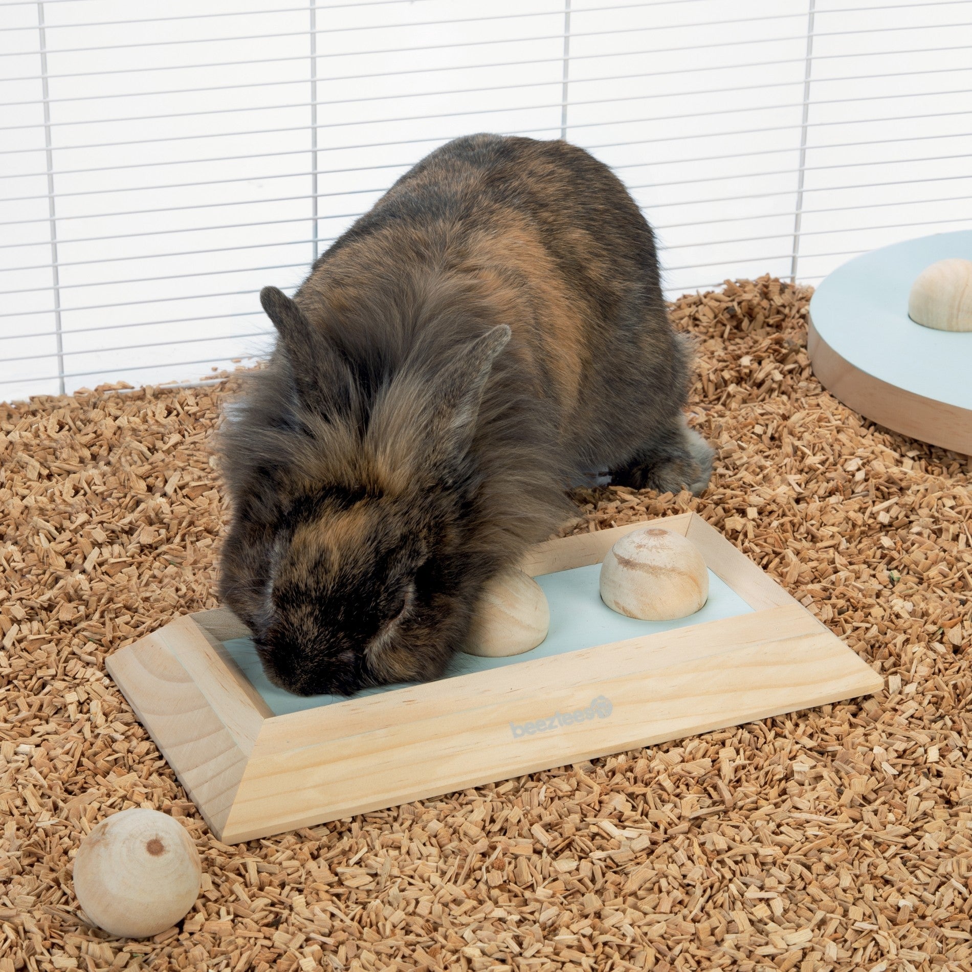 Jeu éducatif Ballira