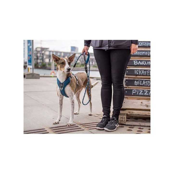 Dog Copenhagen Harnais confort Walk Pro