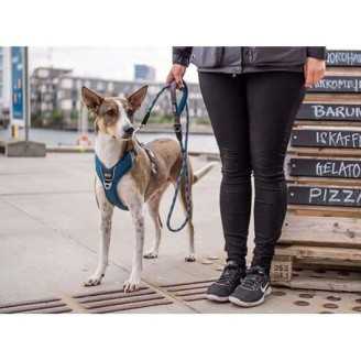 Dog Copenhagen Harnais confort Walk Pro  