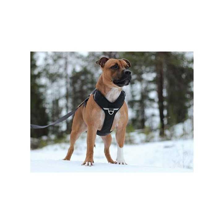 Dog Copenhagen Harnais confort Walk Pro