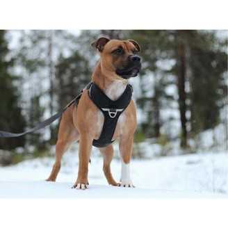 Dog Copenhagen Harnais confort Walk Pro  