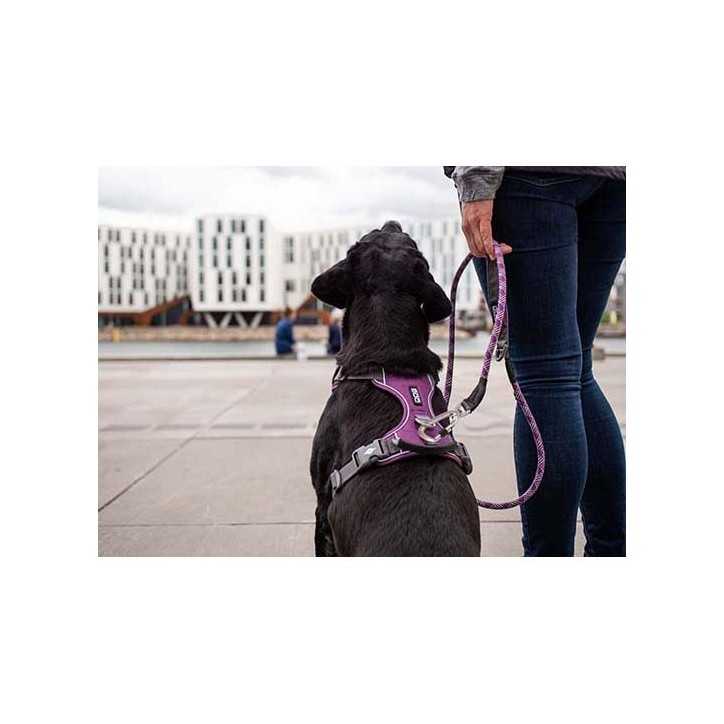 Dog Copenhagen Harnais confort Walk Pro