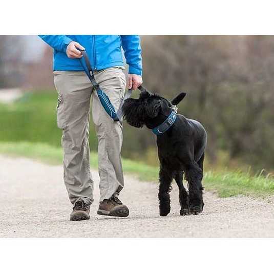 Dog Copenhagen Laisse Urban Trail 