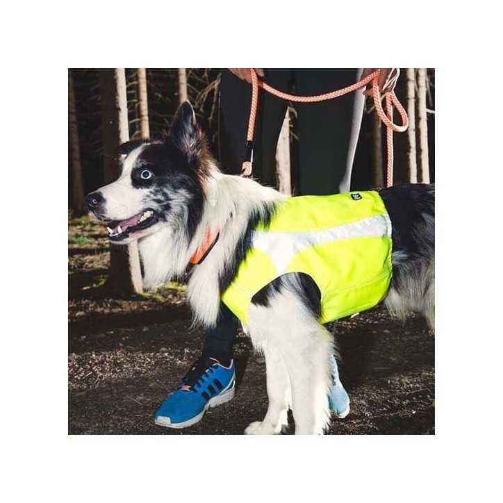 Hurtta Veste de visibilite pour chien