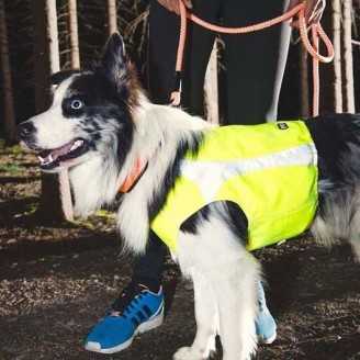 Hurtta Veste de visibilite pour chien  