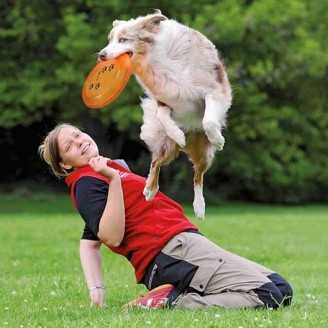 Frisbee pour competition Dog Disc 