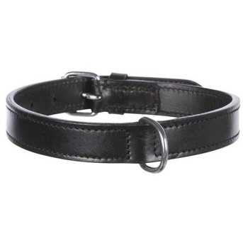 Collier en cuir pour chien Active