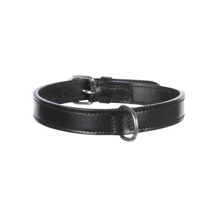 Collier en cuir pour chien Active