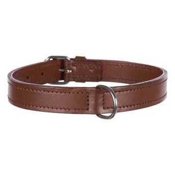 Collier en cuir pour chien Active  